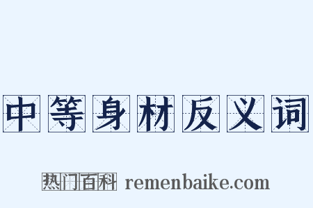 中等身材反义词是什么意思的图片